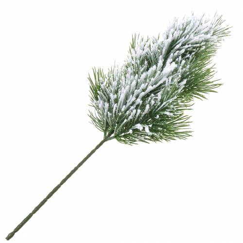 Floristik24 Gałąź sosnowa zielona ośnieżona 50cm