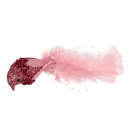 Floristik24 Gołąbek na klipsie różne kolory 15cm 8szt.
