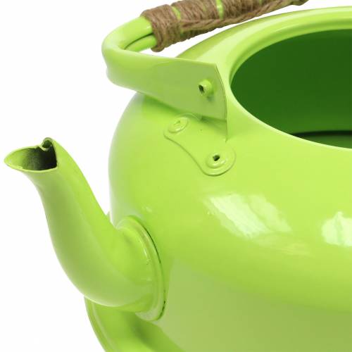 Floristik24 Sadzarka Czajnik Herbata Cynkowa Majowa Zieleń Ø26cm W15cm