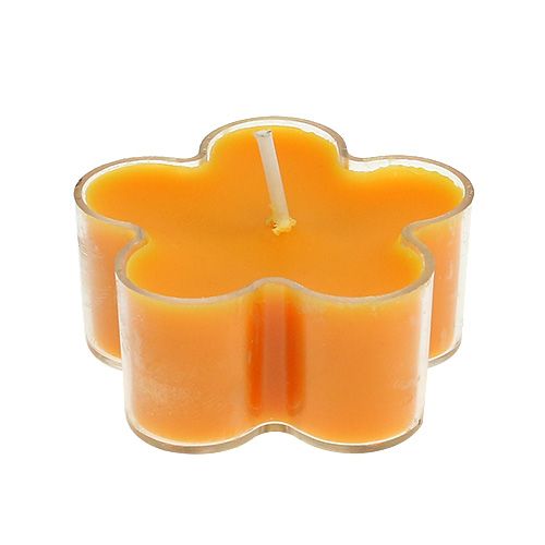 Floristik24 Tealight jako kwiatek z zapachem 4,5x2cm 6szt.