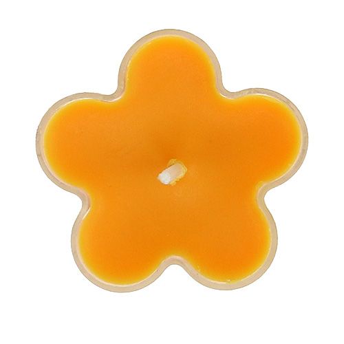 Floristik24 Tealight jako kwiatek z zapachem 4,5x2cm 6szt.