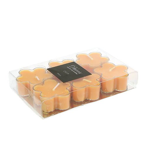 Floristik24 Tealight jako kwiatek z zapachem 4,5x2cm 6szt.