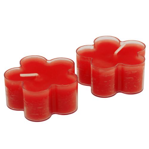 Floristik24 Blossom Light Ruby 12szt