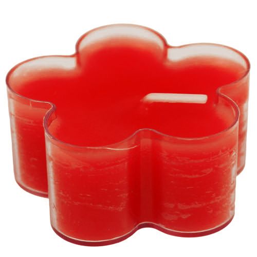 Floristik24 Blossom Light Ruby 12szt