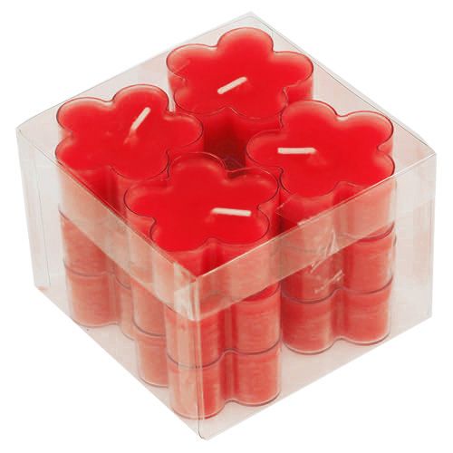 Floristik24 Blossom Light Ruby 12szt