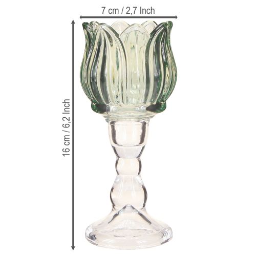 Produkt Podgrzewacz do tealightów szklany tulipan tealight szklany zielony Ø7cm wys.16cm 2szt