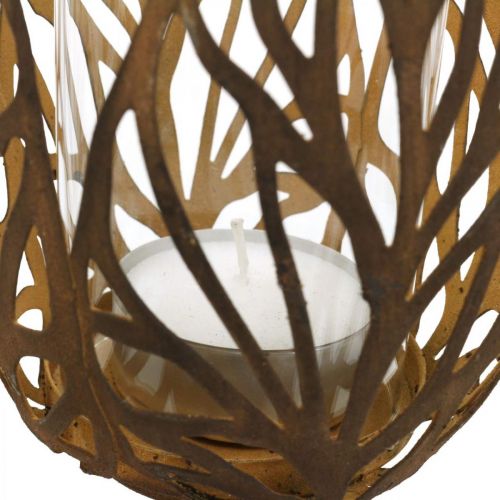 Floristik24 Latarnia o wyglądzie rdzy, świecznik na tealighty retro Ø13cm W30cm