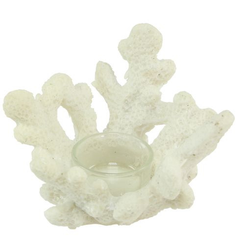 Floristik24 Świecznik na tealighty koralowy dekoracyjny kremowy morski Ø12cm W8cm