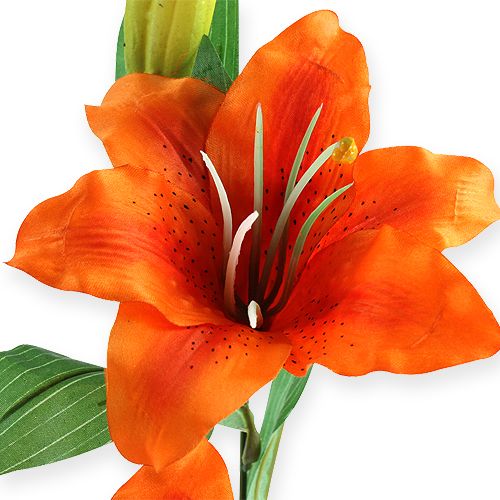 Floristik24 Tiger Lily Pomarańcza 47cm