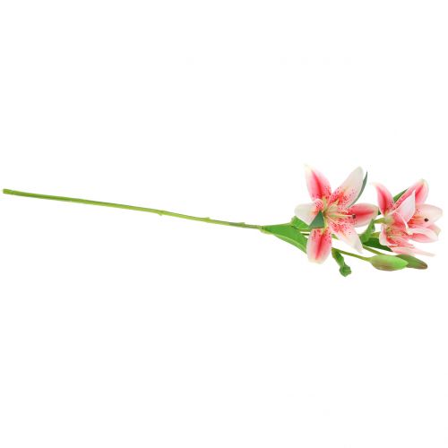 Floristik24 Tygrysia Lilia Różowa, Biała 60cm