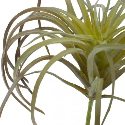 Floristik24 Tillandsia sztuczna do przyklejenia zielono-fioletowa sztuczna roślina 13cm