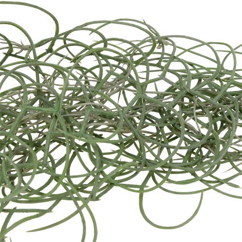 Floristik24 Tillandsia sztuczna szara 130cm