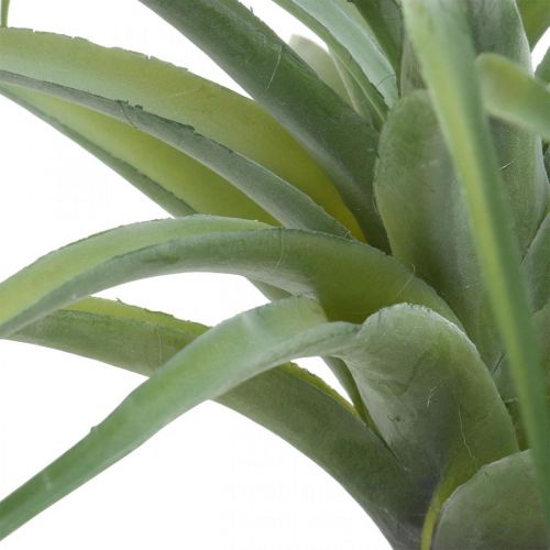 Produkt Deco Tillandsia sztuczna roślina sztuczna do przyklejenia zielona Ø45cm