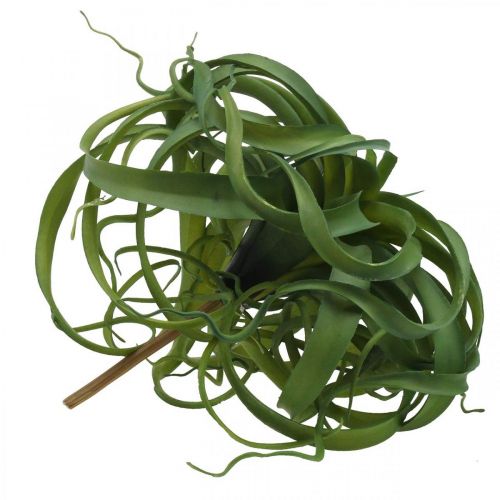 Produkt Tillandsia Sztuczna zielona roślina do przyklejenia Duża zielona Ø40cm