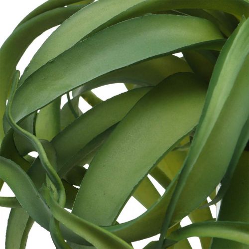 Tillandsia Sztuczna zielona roślina do przyklejenia Duża zielona Ø40cm