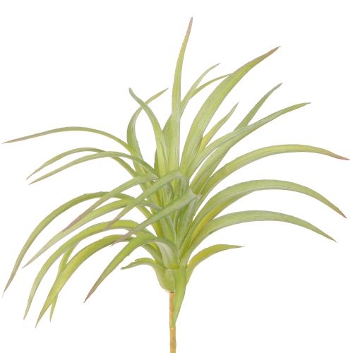 Tillandsia Zielone Sztuczne Rośliny z Patyczkiem Ø17cm 3 szt