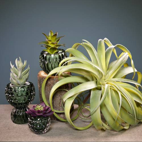 Floristik24 Tillandsia sztuczna do przyklejenia jasnozielonej sztucznej rośliny 30cm