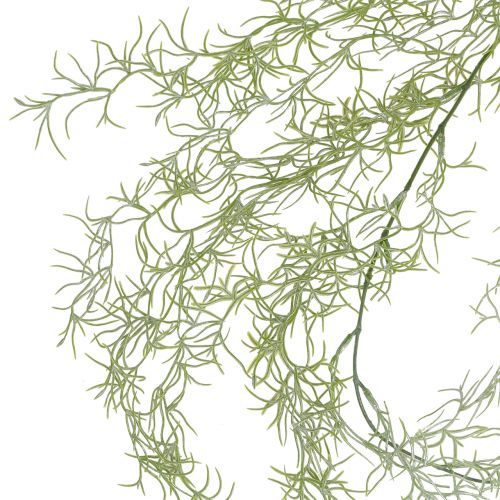 Floristik24 Tillandsia Wieszak Zielony 160cm