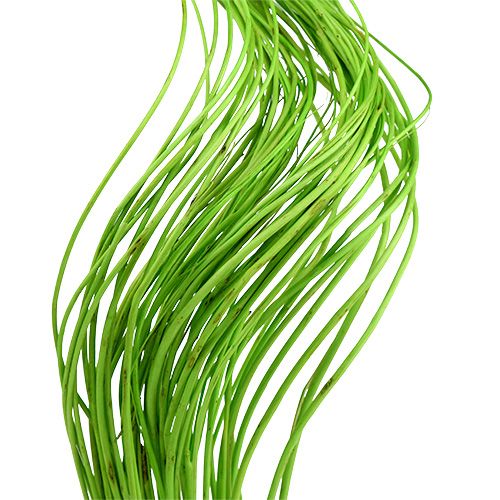 Produkt Ting Ting Curly 60cm Zielony 40 szt
