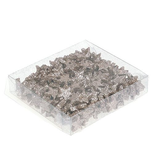 Floristik24 Dekoracja stołu gwiazda mica szampańska 1,5cm 144szt.