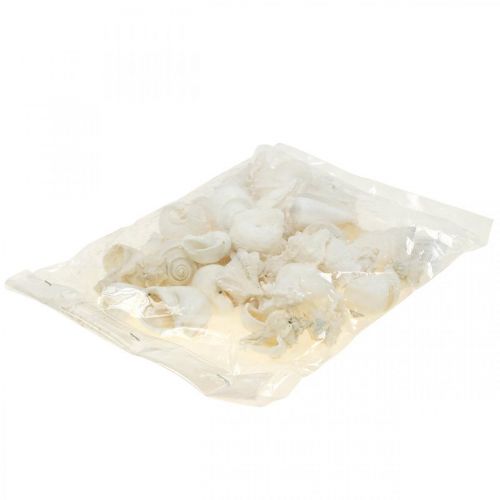 Floristik24 Dekoracja stołu marynistyczna, puste muszle ślimaków białe 4–5cm mix 500g