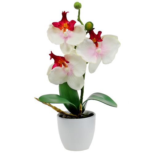 Floristik24 Dekoracja stołu Orchidea w doniczce kremowa H29cm