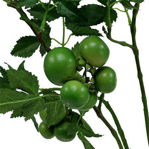 Floristik24 Gałązka pomidora L60cm zielona