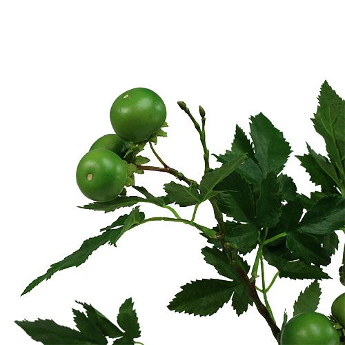 Floristik24 Gałązka pomidora L60cm zielona