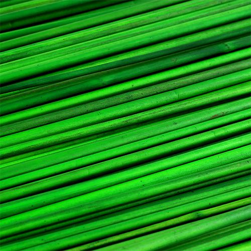 Floristik24 Tonkin Green 70cm 150szt.