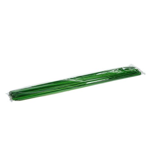 Floristik24 Tonkin Green 70cm 150szt.