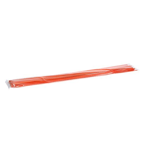 Floristik24 Tonkin Orange 70cm 150szt.
