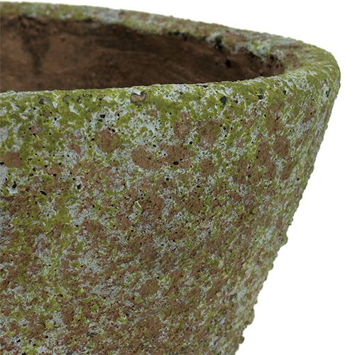 Floristik24 Doniczka mech szary Ø16cm H13,5cm 1szt.