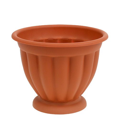 Floristik24 Doniczka z podstawą Ø17cm H14cm