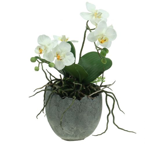 Floristik24 Doniczka betonowa skorupa jajka Ø14,5cm 15cm 2szt.
