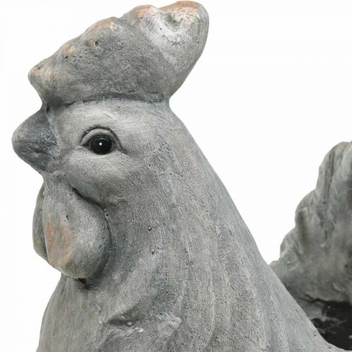 Floristik24 Kurczak do sadzenia, dekoracja wielkanocna, doniczka, wiosna, dekoracyjny wygląd kurczaka beton wys.30cm