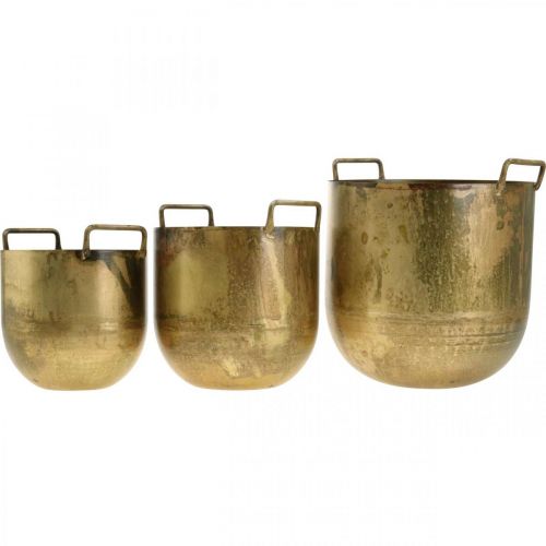 Floristik24 Doniczka w stylu antycznym z metalowymi uchwytami H17 / 19,5/26cm, komplet 3 szt