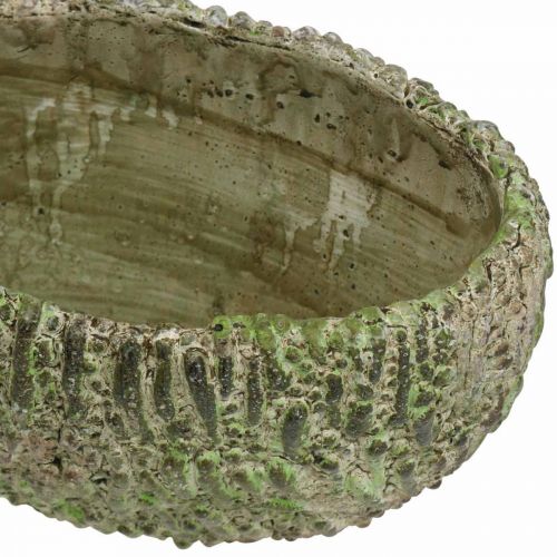 Produkt Donica betonowa owalna antyczna zielony, brązowy 24×14×13cm