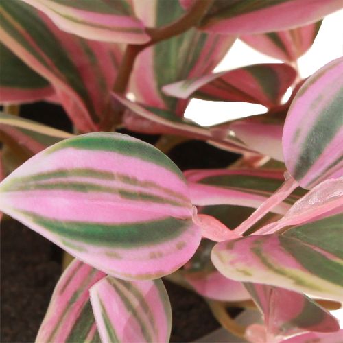 Produkt Tradescantia Sztuczna zielona roślina w doniczce wys. 19,5 cm 2 szt