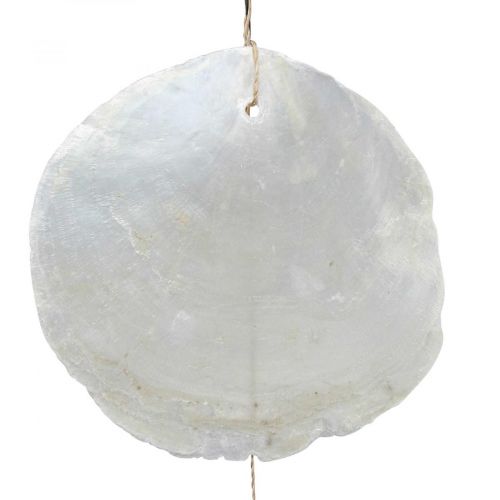 Produkt Driftwood Capiz girlanda z muszli z masy perłowej wys. 100 cm