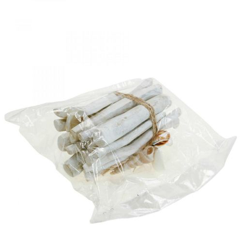 Produkt Driftwood Deco Zestaw drewna Driftwood, biały, dł. 15 cm