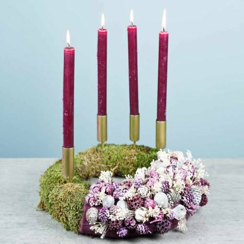 Floristik24 Suszone Kwiaty Broom Bloom Bielone 140g