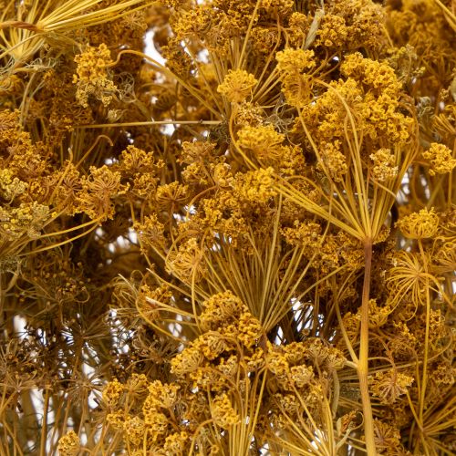 Produkt Bukiet suszonych kwiatów z delikatnymi kwiatami do romantycznej dekoracji w stylu vintage 55 cm