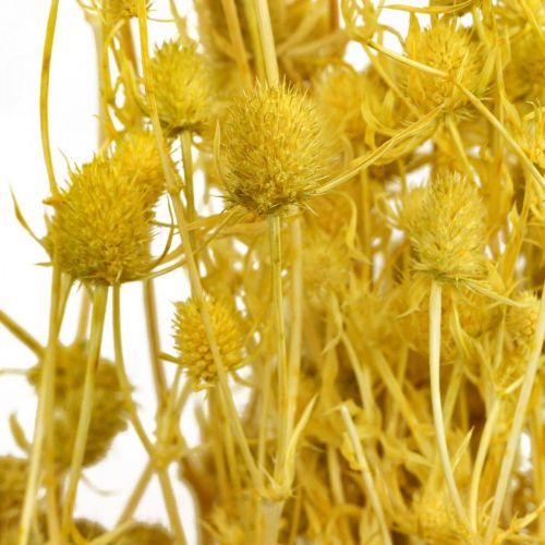 Produkt Suszone kwiaty ostu żółtego suszonego ostu truskawkowego 100g
