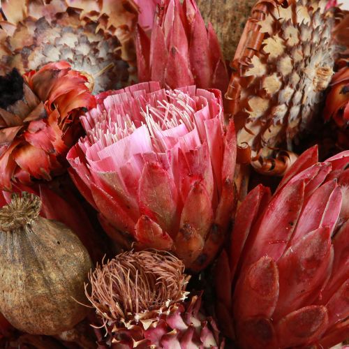 Produkt Mieszanka suszonych kwiatów maku protea różowego 38cm 580g