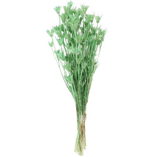 Produkt Suszone kwiaty czarnuszki zielonej 50cm 100g