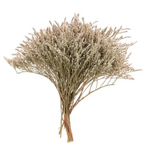 Suszone kwiaty lawendy plażowej Statice natura 1kg