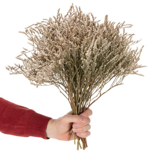 Suszone kwiaty lawendy plażowej Statice natura 1kg | Floristik24.pl