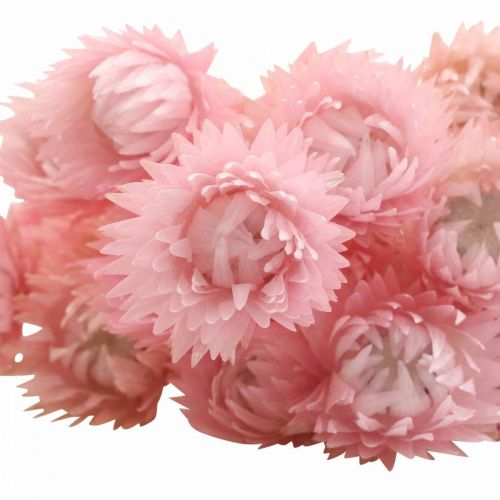 Produkt Suszone kwiaty czapki kwiaty różowe kwiaty słomkowe wys. 42cm