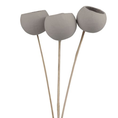 Produkt Suszone kwiaty ozdobne dzwonki na łodydze szare 37cm 3 szt
