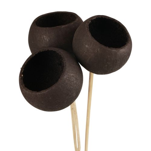 Produkt Suszone kwiaty ozdobne dzwonki na łodydze czarne 44cm 3 szt